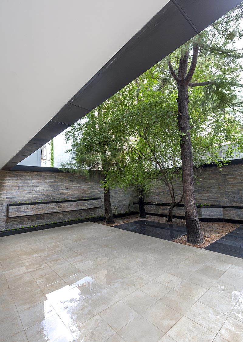 yard