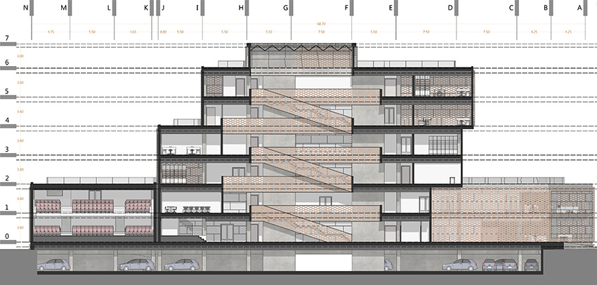 cross section