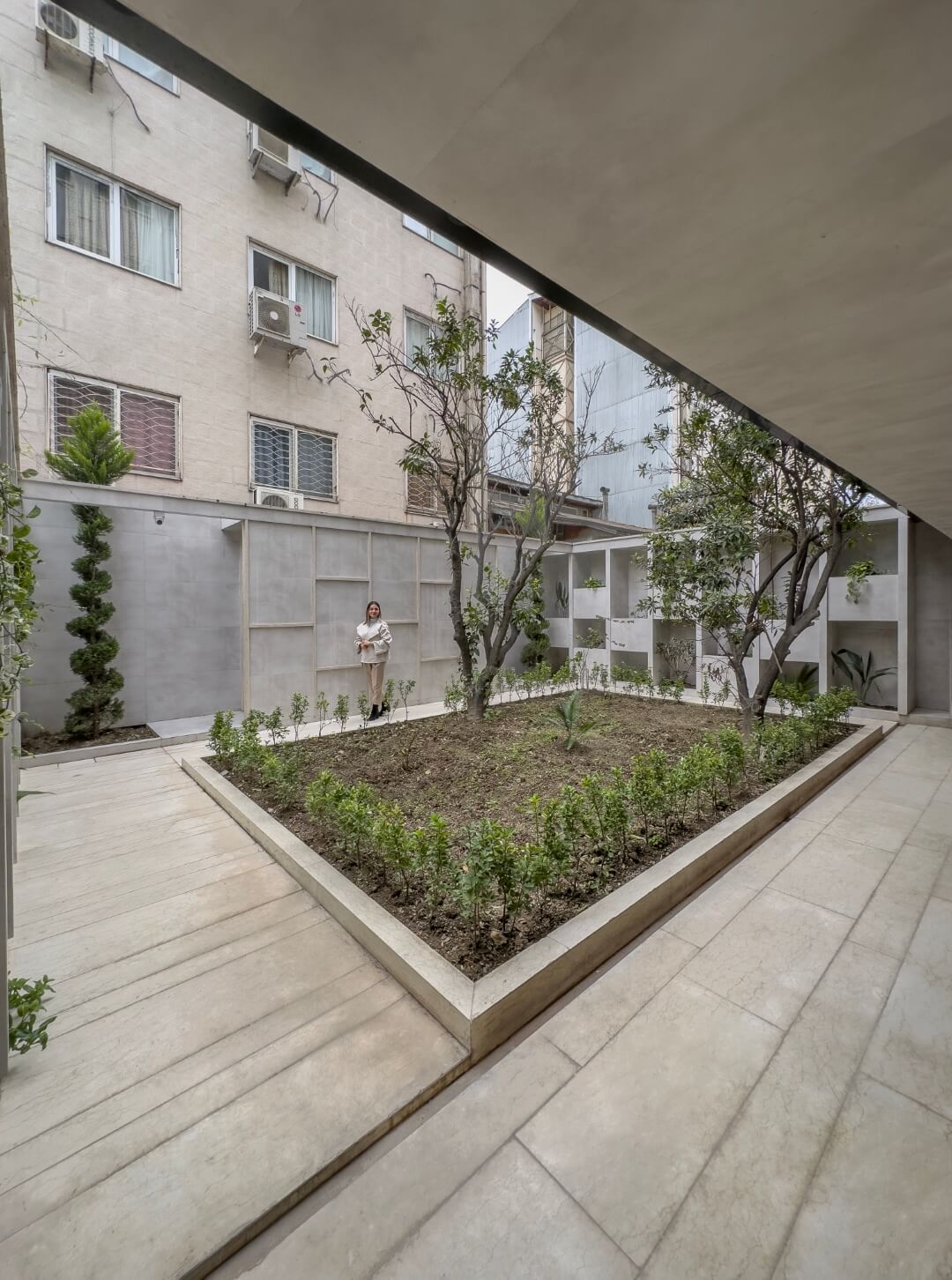 trees in the yard, 93 st. residentail aratment